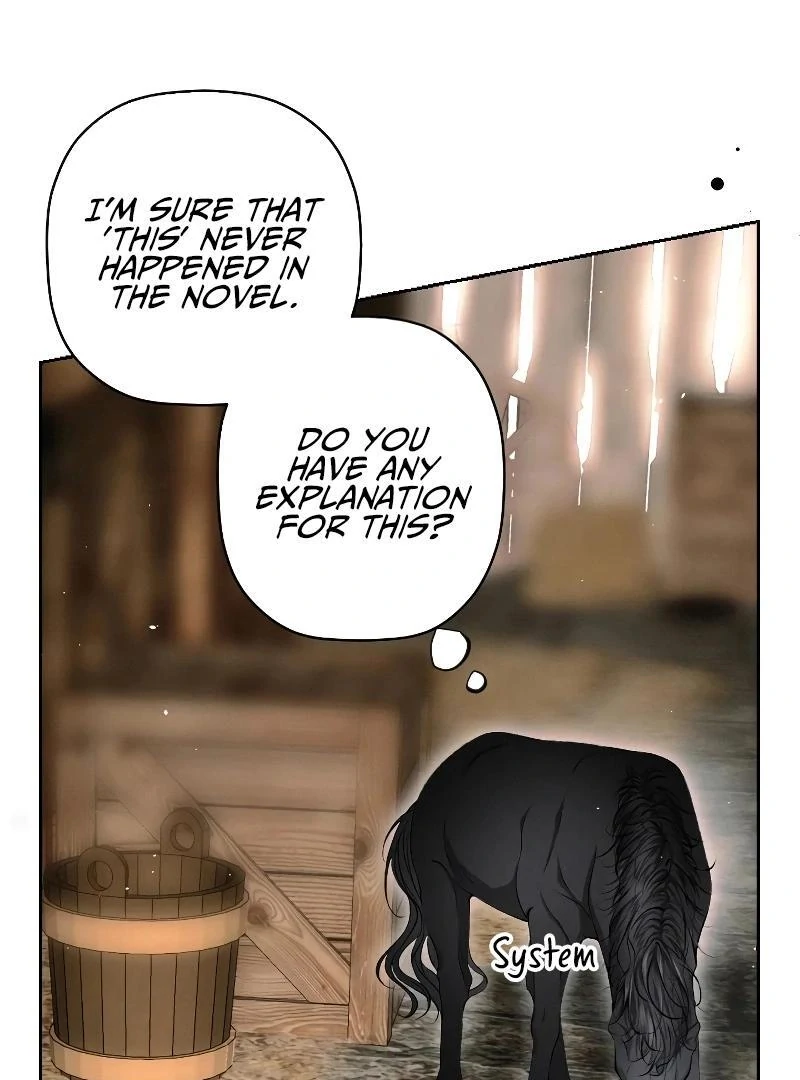 74288291 800 1080 87562